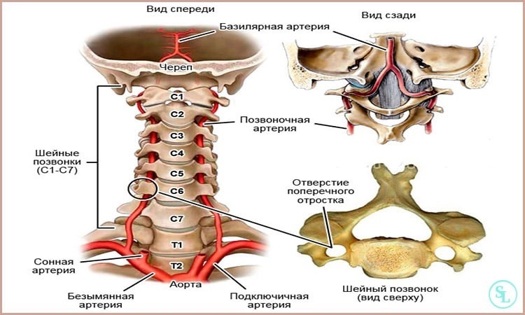 Рис. 1 